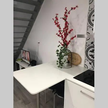 Canelle Com Terraço Nazaré