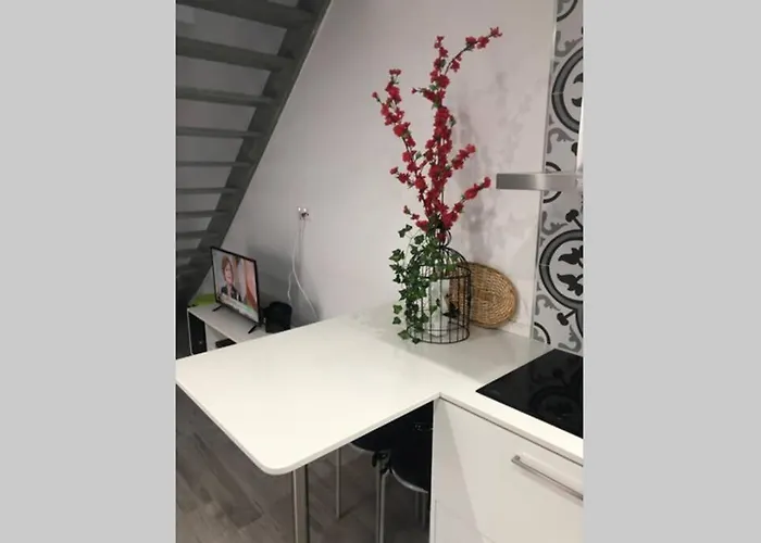 Canelle Com Terraco Nazare